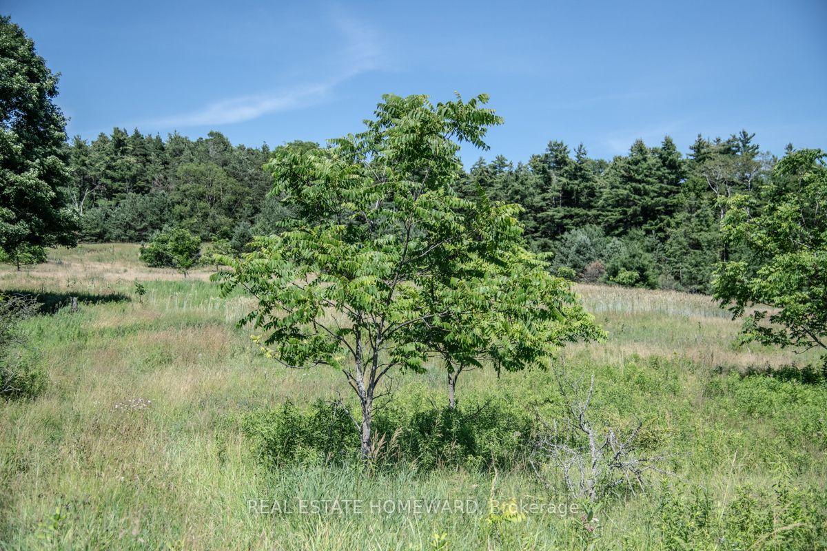 Photo 14 of PT 1 Boyce Road, Alnwick/Haldimand, Rural Alnwick/Haldimand — HOMEH