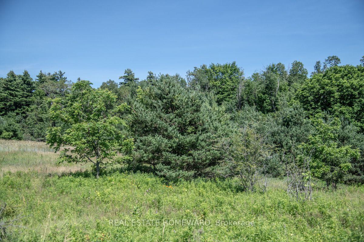 Photo 15 of PT 1 Boyce Road, Alnwick/Haldimand, Rural Alnwick/Haldimand — HOMEH