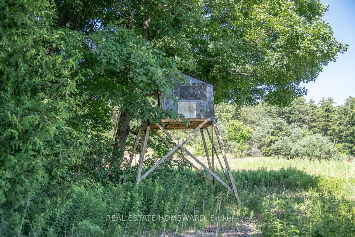 Photo 16 of PT 1 Boyce Road, Alnwick/Haldimand, Rural Alnwick/Haldimand — HOMEH