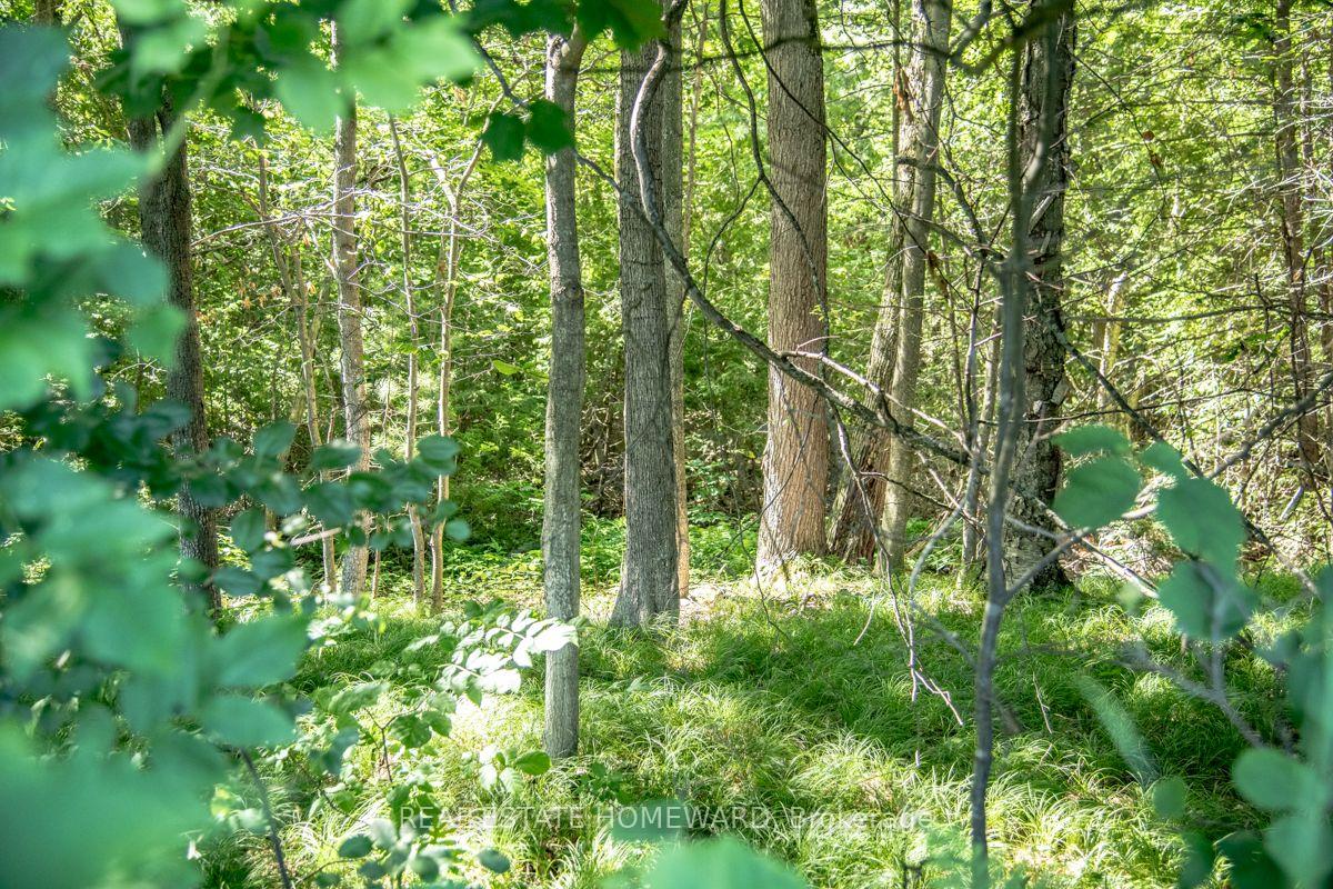 Photo 17 of PT 1 Boyce Road, Alnwick/Haldimand, Rural Alnwick/Haldimand — HOMEH