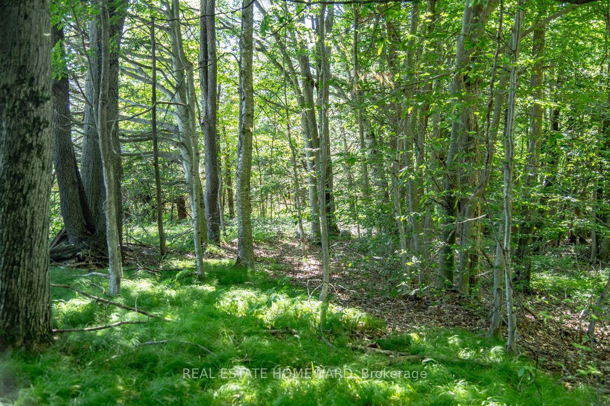 Photo 18 of PT 1 Boyce Road, Alnwick/Haldimand, Rural Alnwick/Haldimand — HOMEH