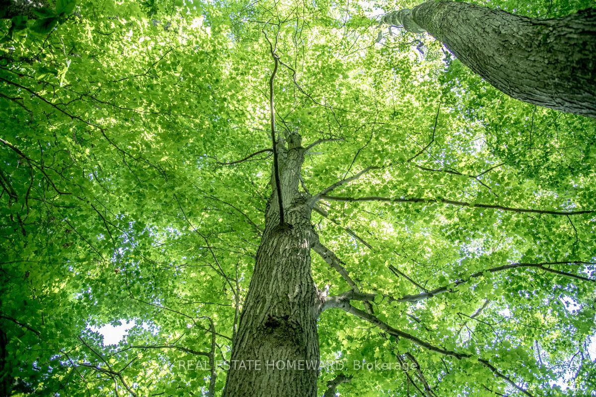 Photo 19 of PT 1 Boyce Road, Alnwick/Haldimand, Rural Alnwick/Haldimand — HOMEH