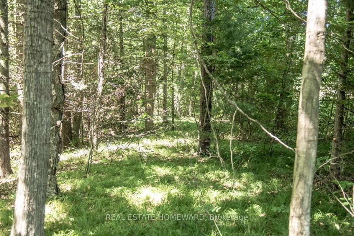 Photo 20 of PT 1 Boyce Road, Alnwick/Haldimand, Rural Alnwick/Haldimand — HOMEH