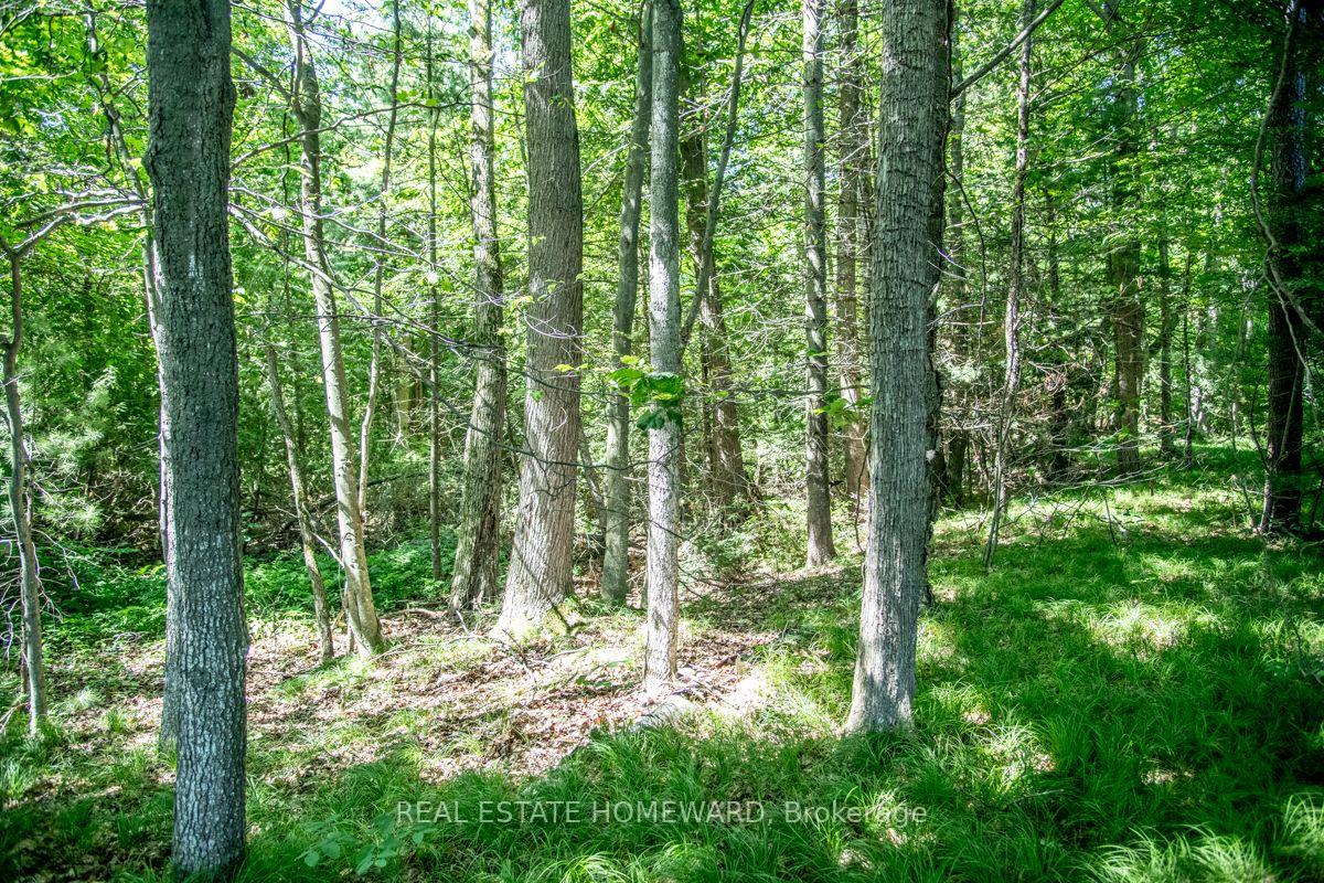 Photo 21 of PT 1 Boyce Road, Alnwick/Haldimand, Rural Alnwick/Haldimand — HOMEH