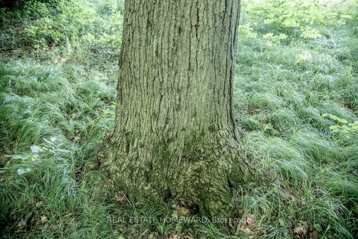 Photo 22 of PT 1 Boyce Road, Alnwick/Haldimand, Rural Alnwick/Haldimand — HOMEH