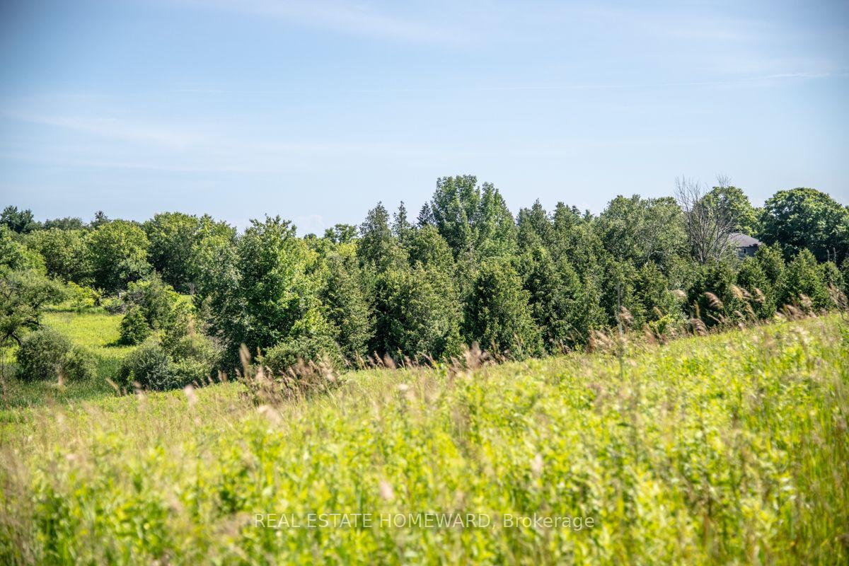 Photo 24 of PT 1 Boyce Road, Alnwick/Haldimand, Rural Alnwick/Haldimand — HOMEH