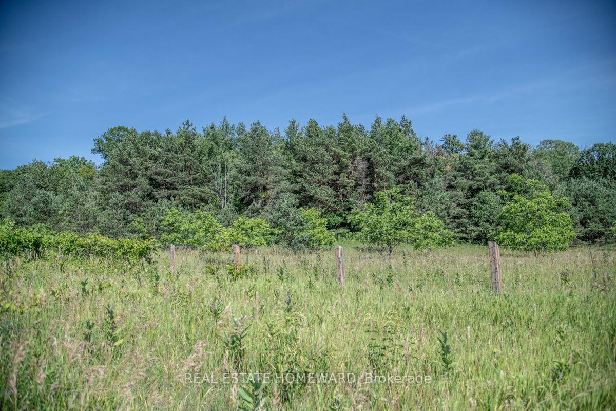 Photo 26 of PT 1 Boyce Road, Alnwick/Haldimand, Rural Alnwick/Haldimand — HOMEH