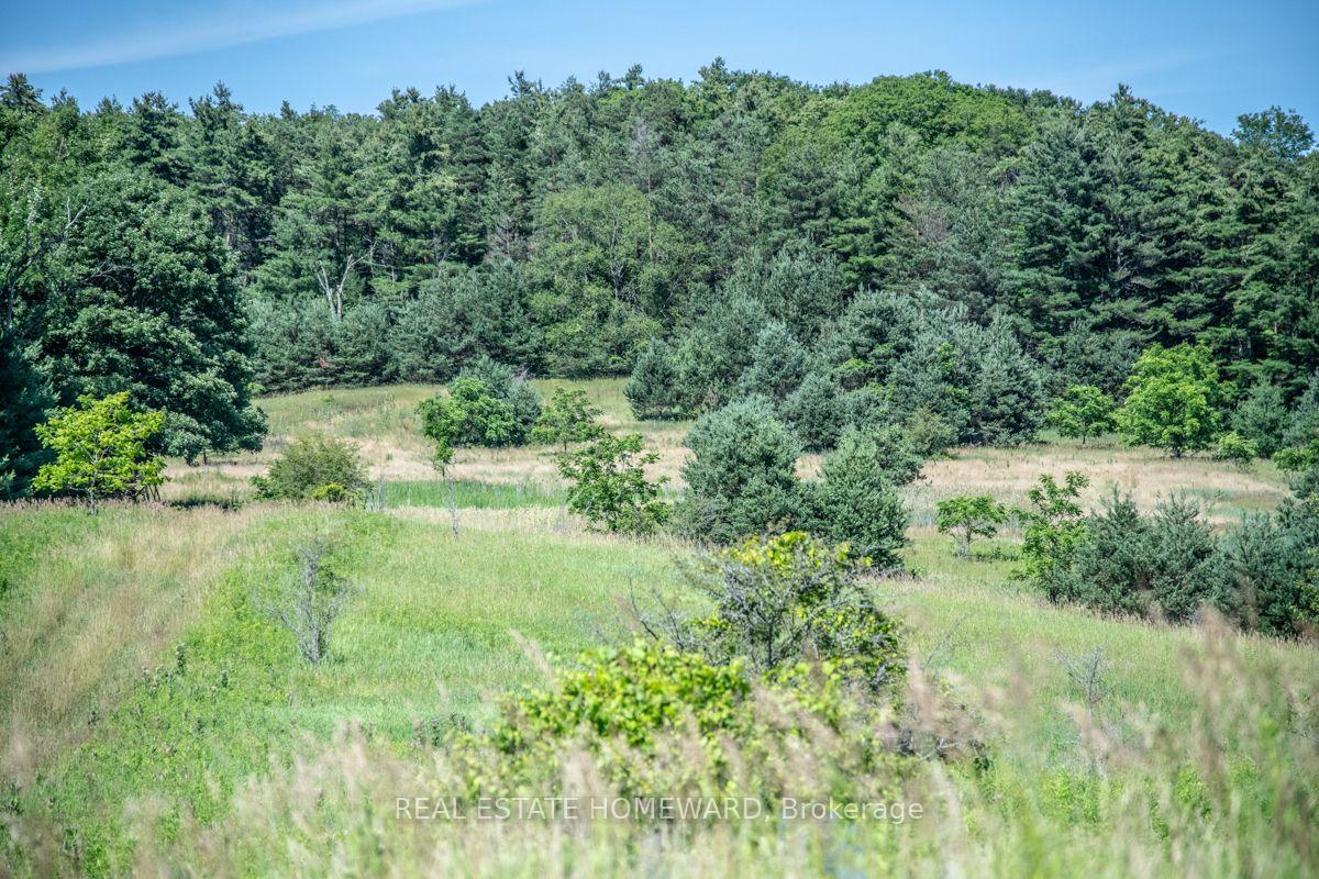 Photo 28 of PT 1 Boyce Road, Alnwick/Haldimand, Rural Alnwick/Haldimand — HOMEH