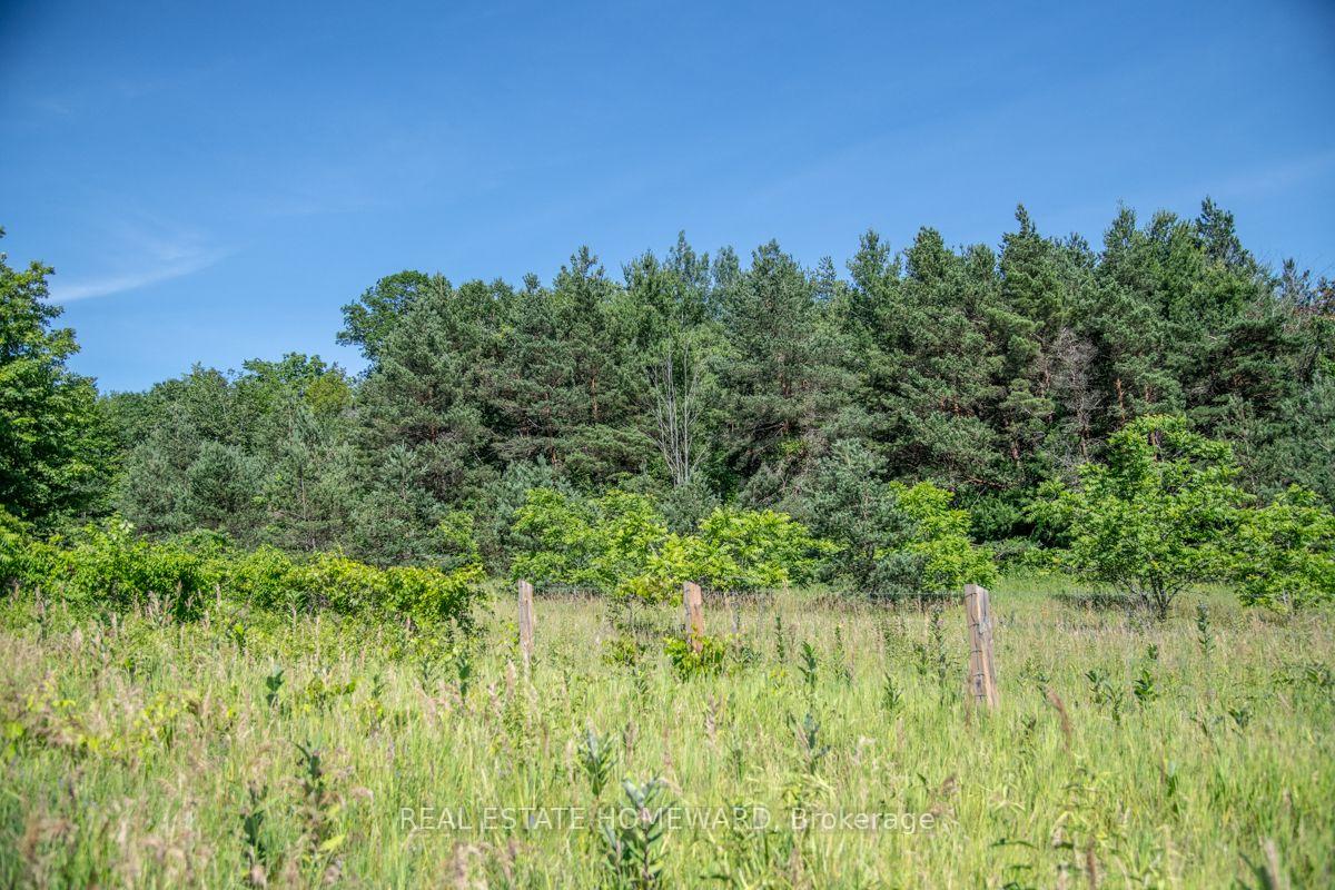 Photo 29 of PT 1 Boyce Road, Alnwick/Haldimand, Rural Alnwick/Haldimand — HOMEH