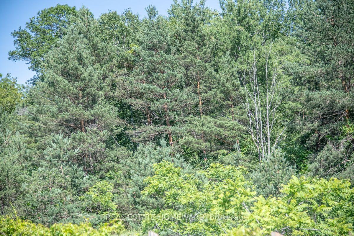 Photo 30 of PT 1 Boyce Road, Alnwick/Haldimand, Rural Alnwick/Haldimand — HOMEH