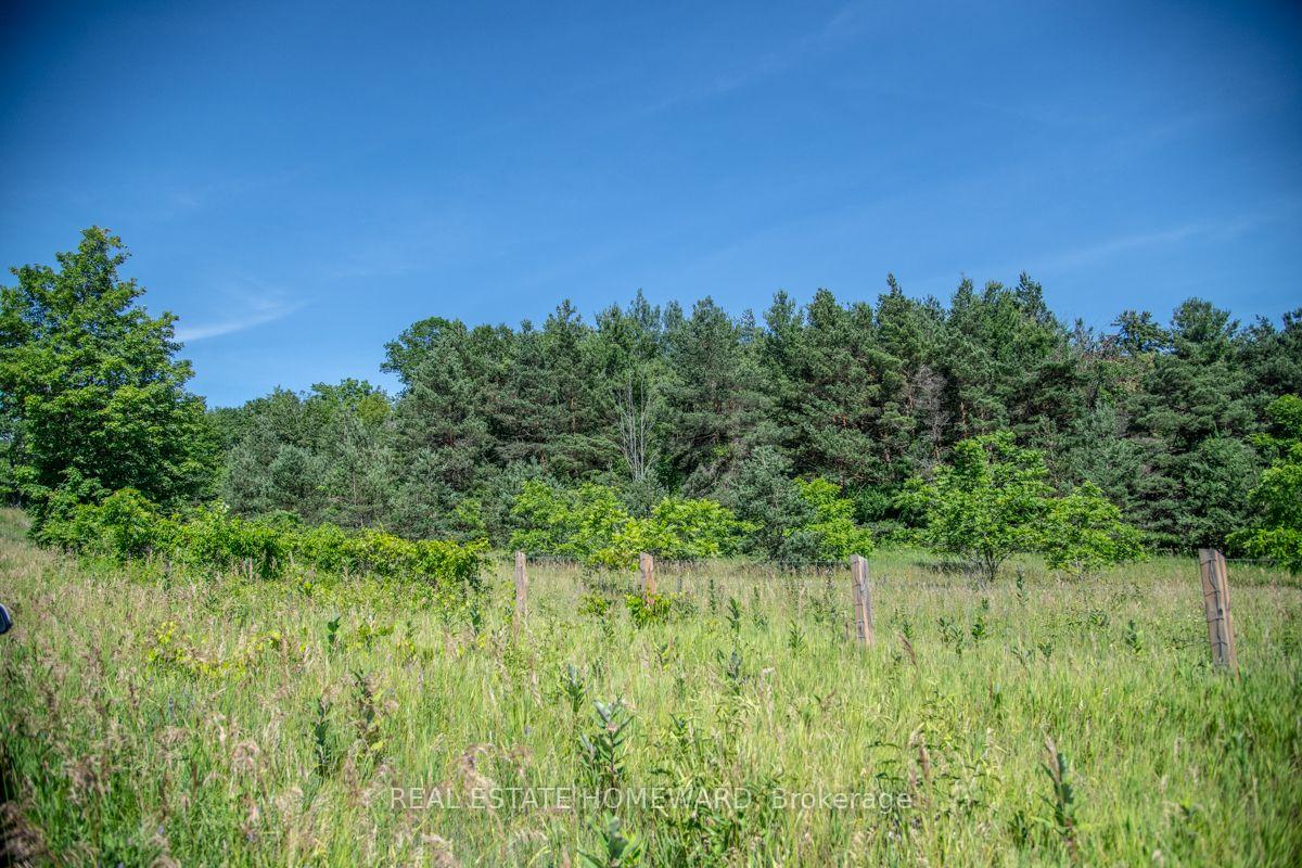 Photo 31 of PT 1 Boyce Road, Alnwick/Haldimand, Rural Alnwick/Haldimand — HOMEH