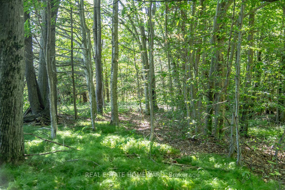 Photo 32 of PT 1 Boyce Road, Alnwick/Haldimand, Rural Alnwick/Haldimand — HOMEH