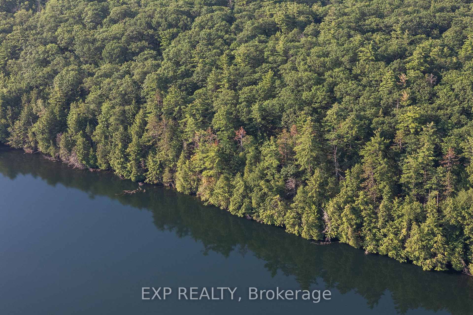 Photo 6 of 00 Bennett Lafont Road, Horton, Horton Twp — HOMEH