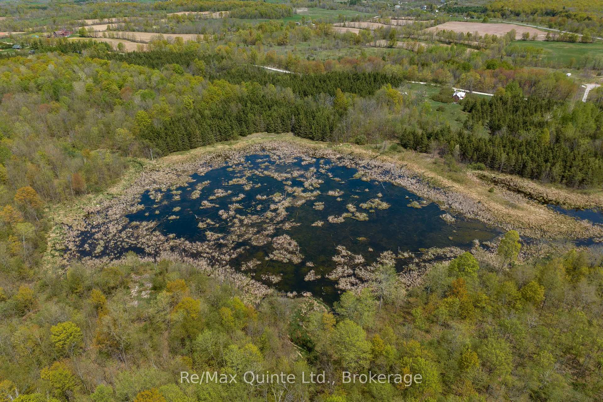Photo 6 of 289 Woods Road, Madoc — HOMEH
