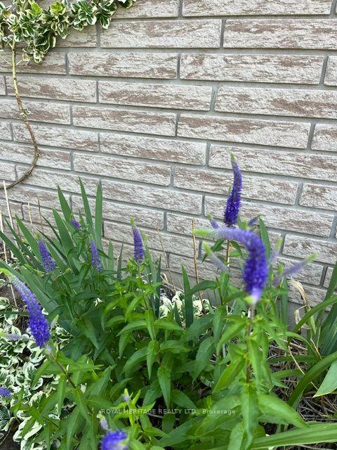 Photo 46 of 285 Euclid Avenue, Peterborough, Ashburnham Ward 4 — HOMEH