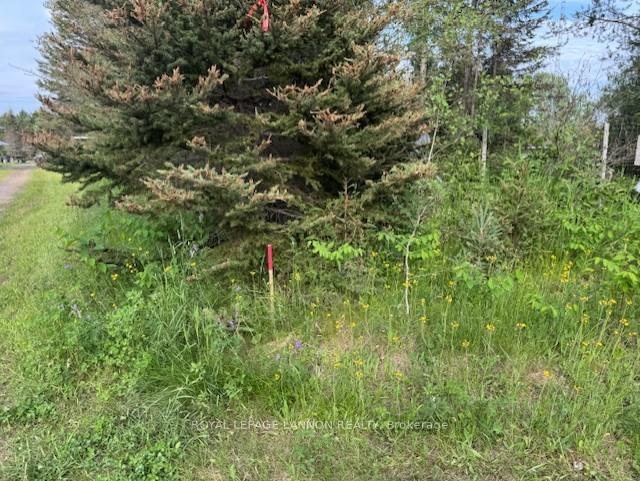Photo 25 of 183 Thompson Road, Thunder Bay, McIntyre South — HOMEH