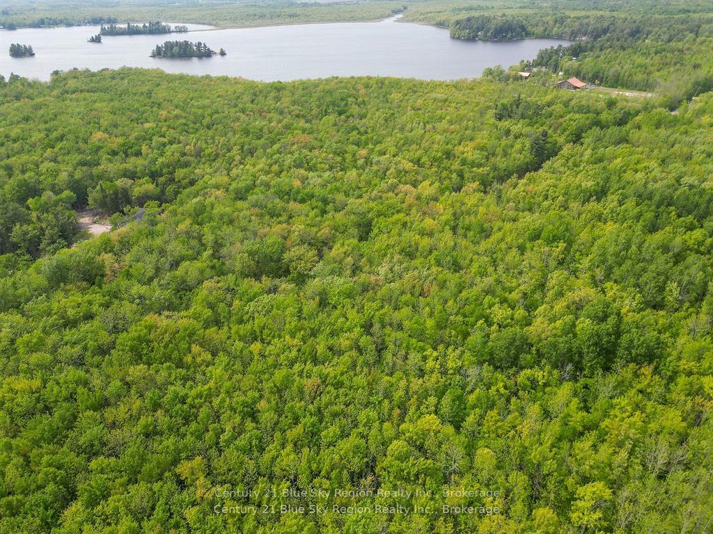 Photo 7 of Lot 4 Riddle Road, West Nipissing, Verner — HOMEH
