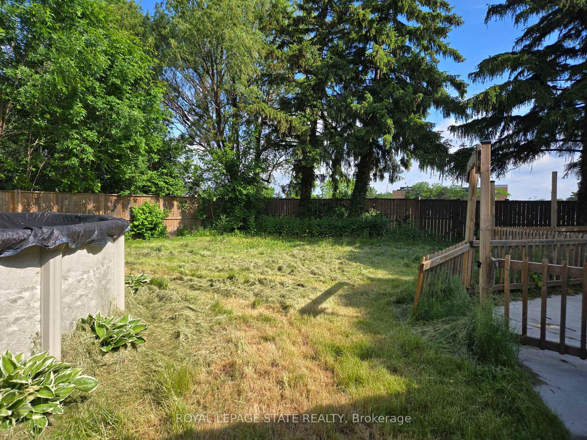 Photo 6 of 17 Carmen Avenue, Hamilton, Macassa — HOMEH