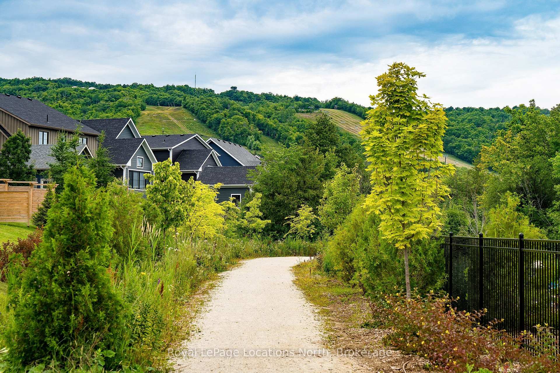 Photo 43 of 118 Sycamore Street, Blue Mountains — HOMEH