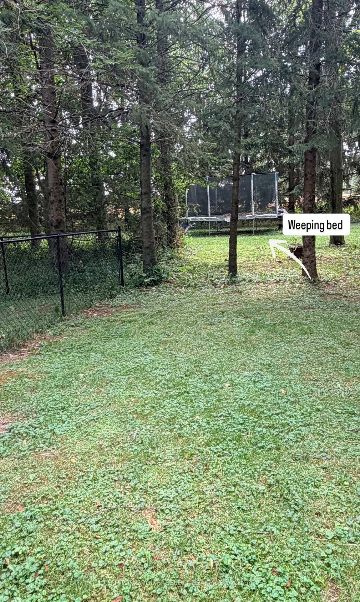 Photo 42 of 5382 Line 10, St. Marys — HOMEH