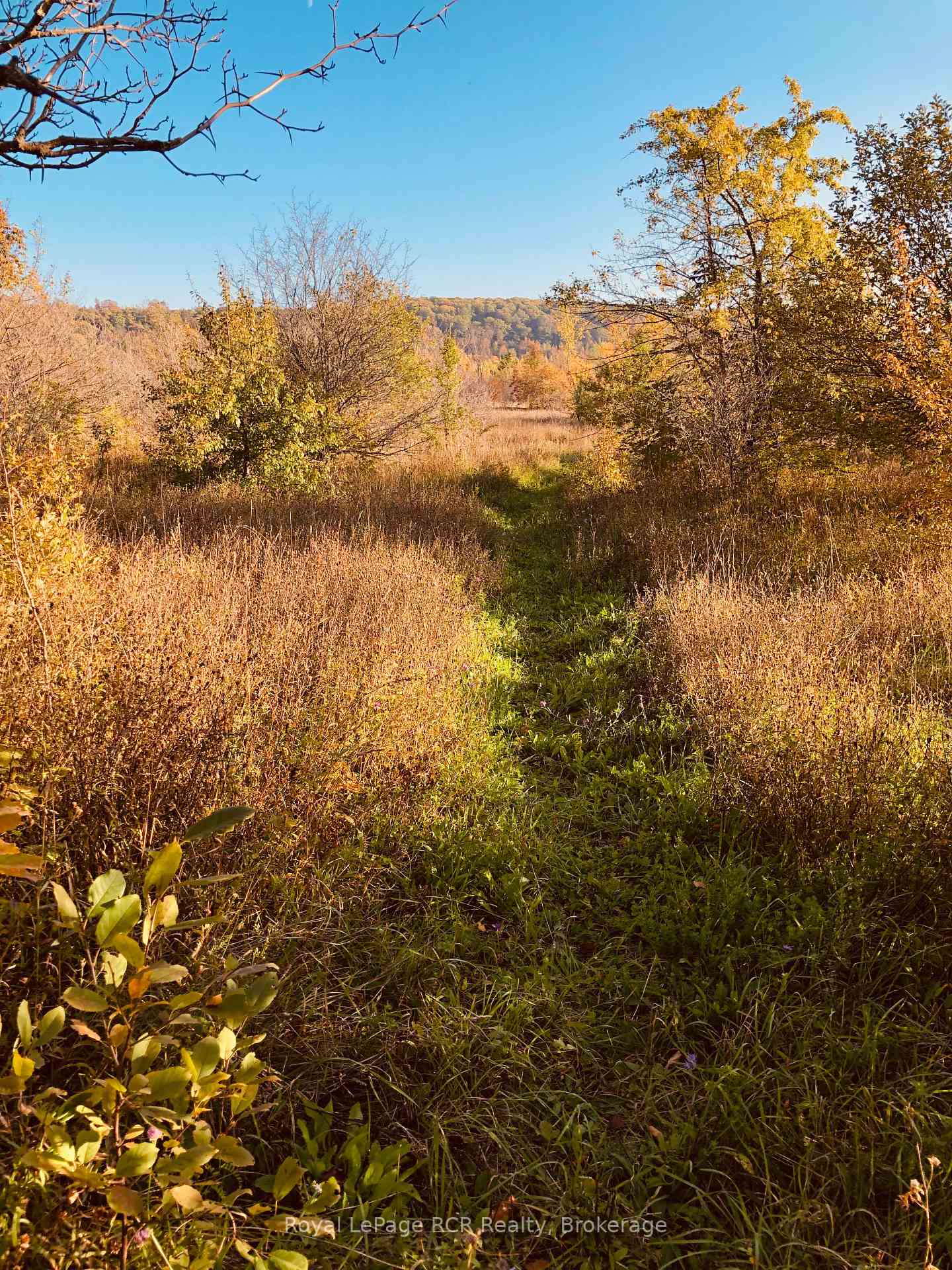 Photo 13 of PtLt 39 Con 25 N E, Georgian Bluffs — HOMEH
