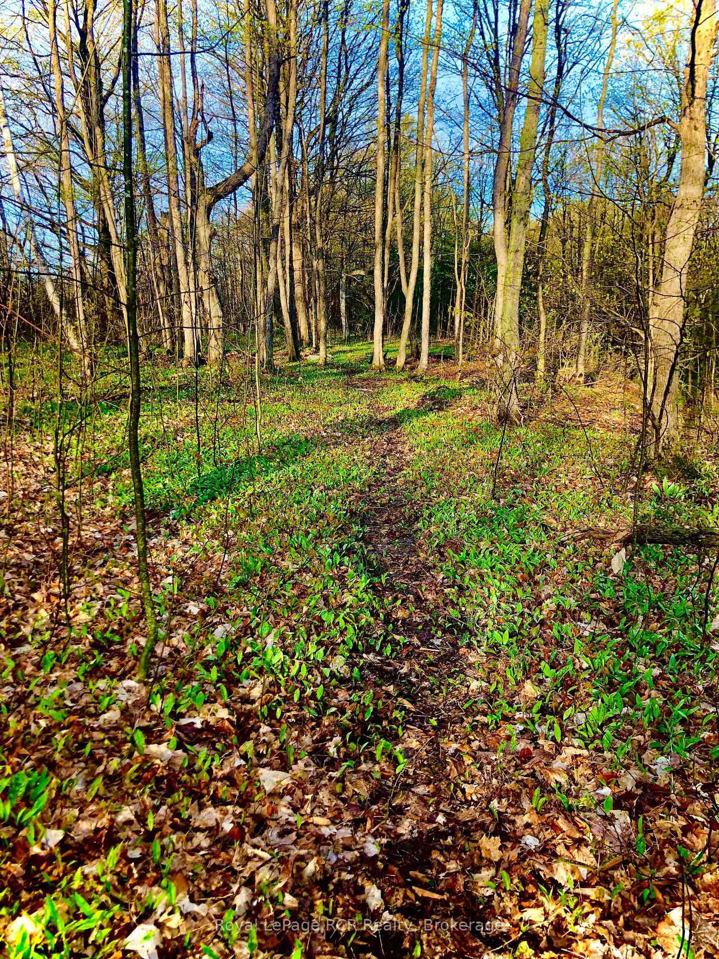 Photo 14 of PtLt 39 Con 25 N E, Georgian Bluffs — HOMEH