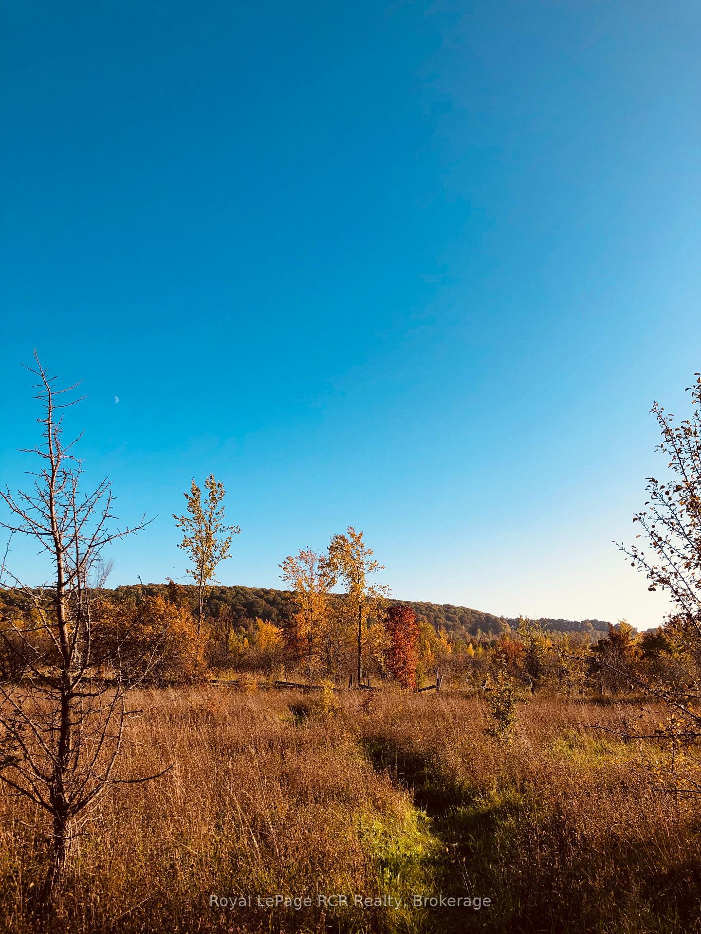 Photo 15 of PtLt 39 Con 25 N E, Georgian Bluffs — HOMEH