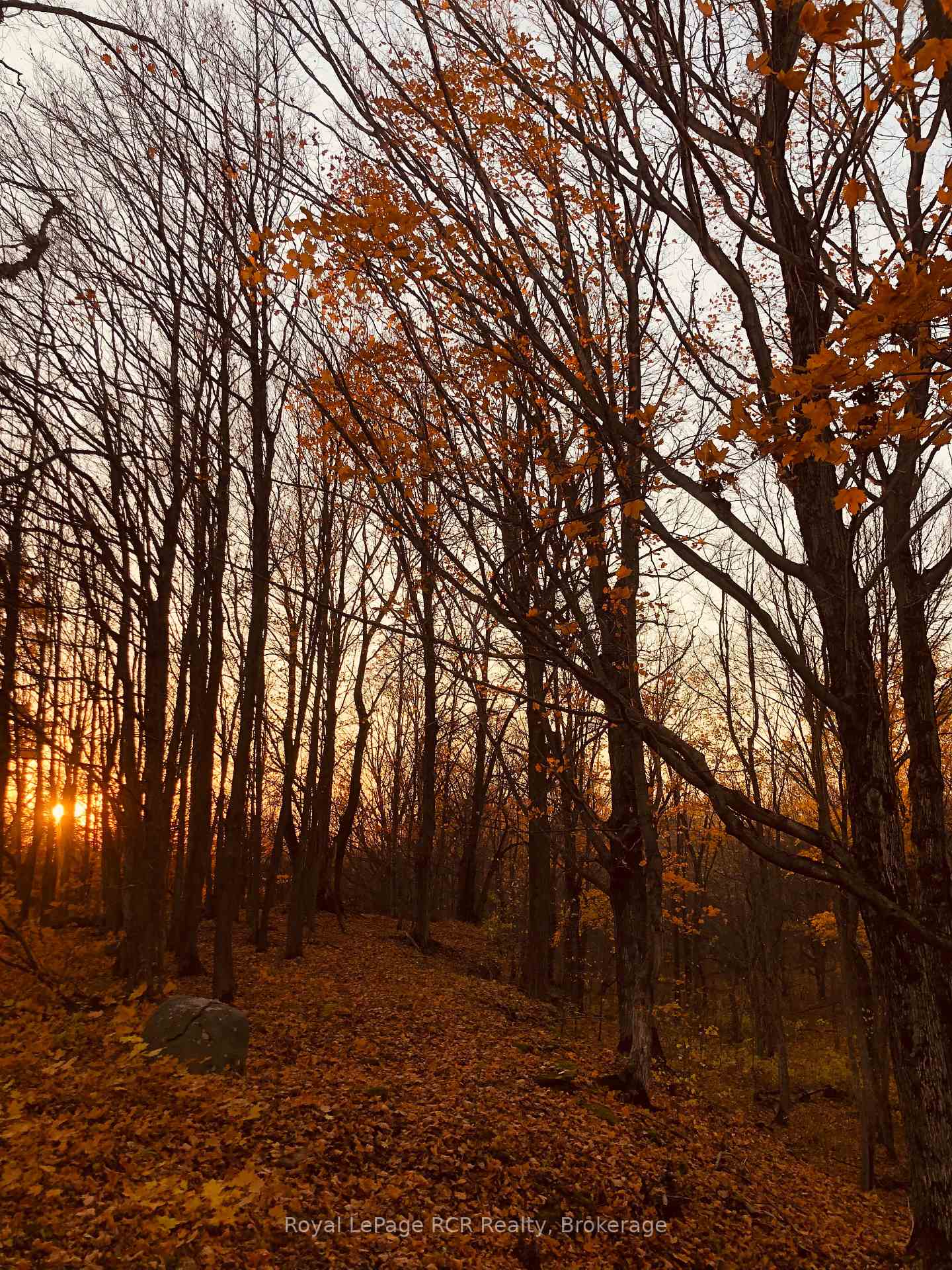 Photo 18 of PtLt 39 Con 25 N E, Georgian Bluffs — HOMEH