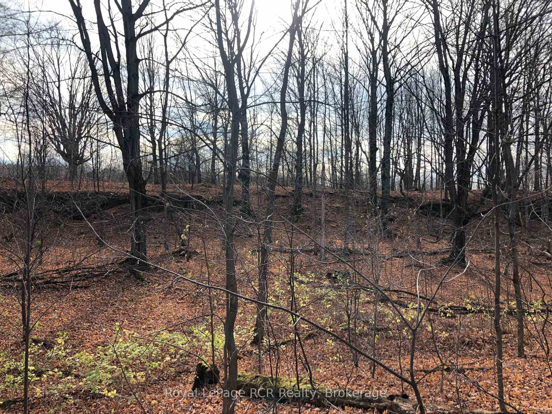 Photo 19 of PtLt 39 Con 25 N E, Georgian Bluffs — HOMEH