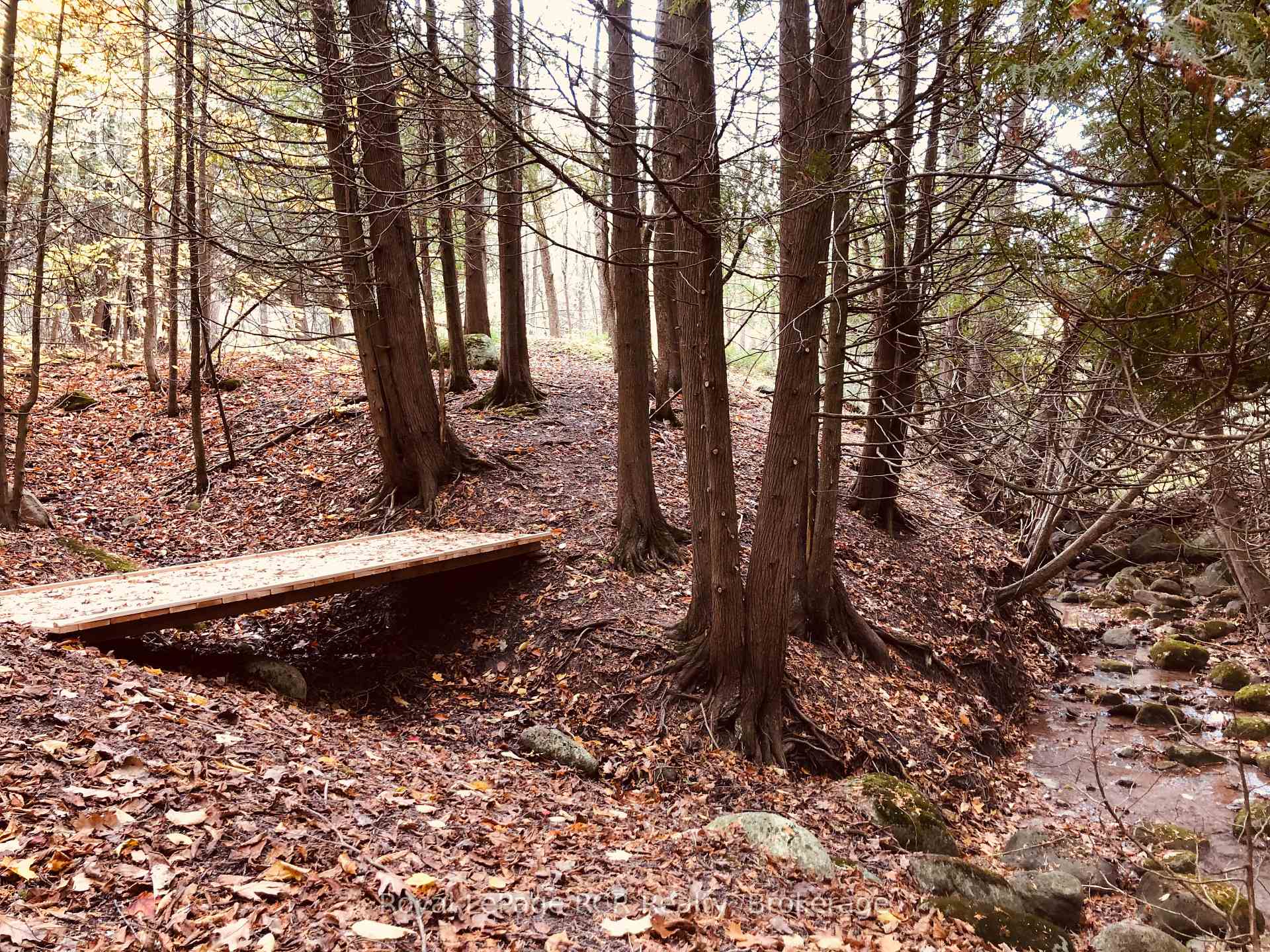 Photo 20 of PtLt 39 Con 25 N E, Georgian Bluffs — HOMEH