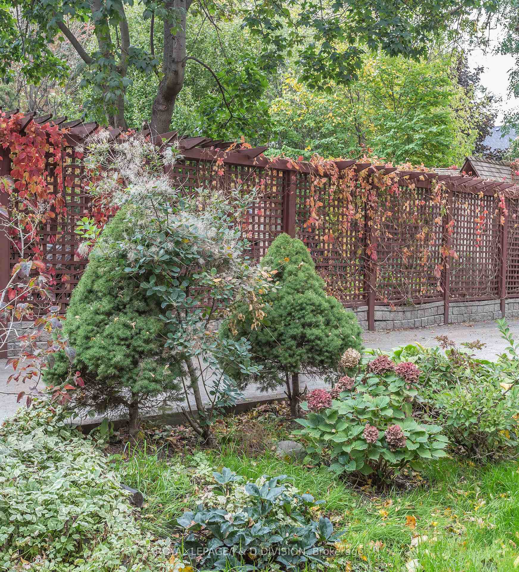 Photo 13 of Unit 1 (Lower), 17A Humewood Drive, Toronto, Humewood-Cedarvale — HOMEH