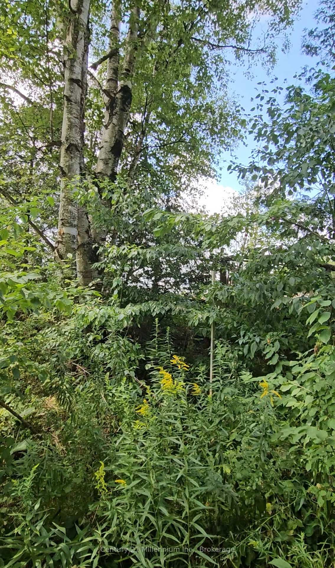 Photo 8 of 612608 Sideroad 61, Southgate — HOMEH