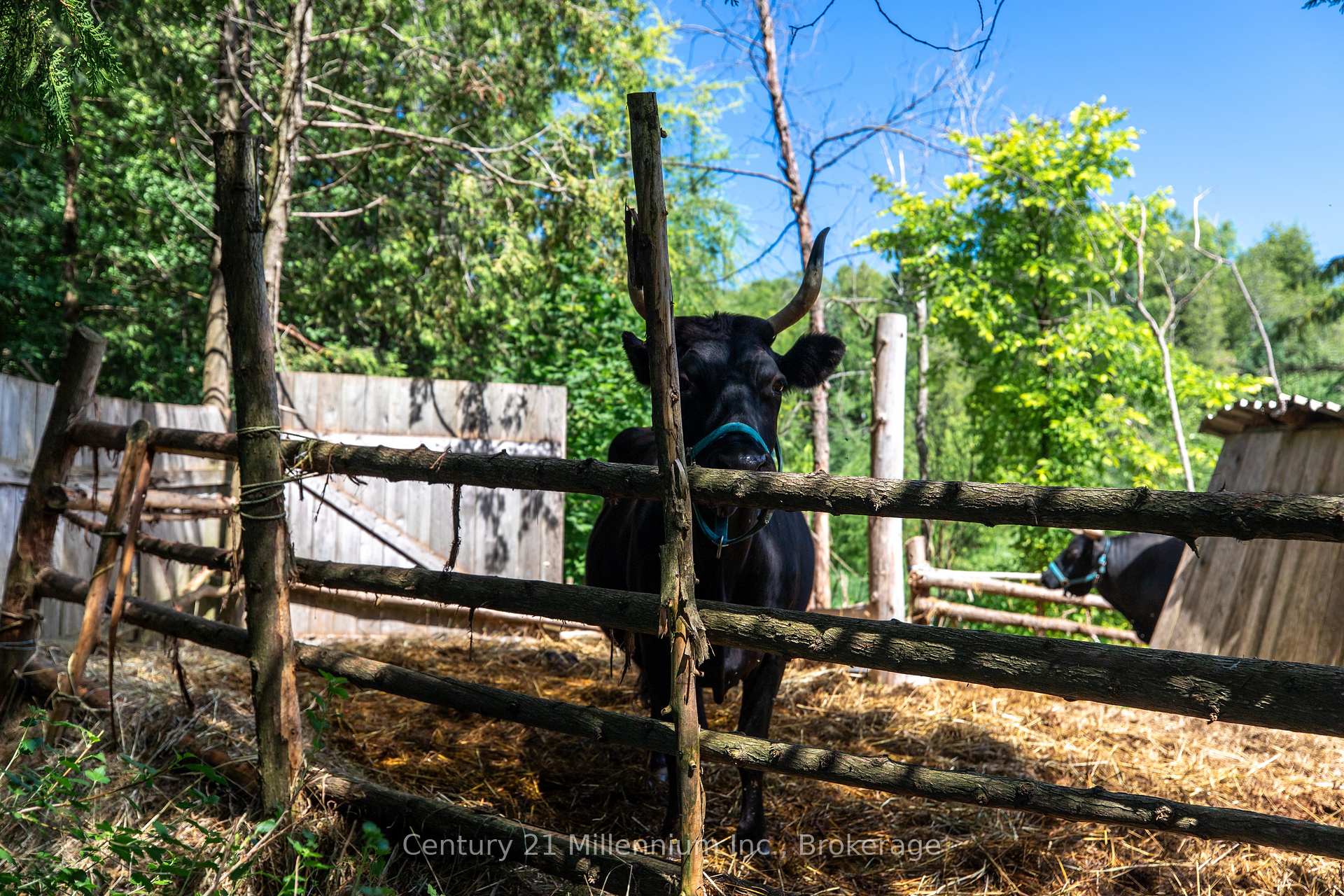 Photo 10 of 612608 Sideroad 61, Southgate — HOMEH