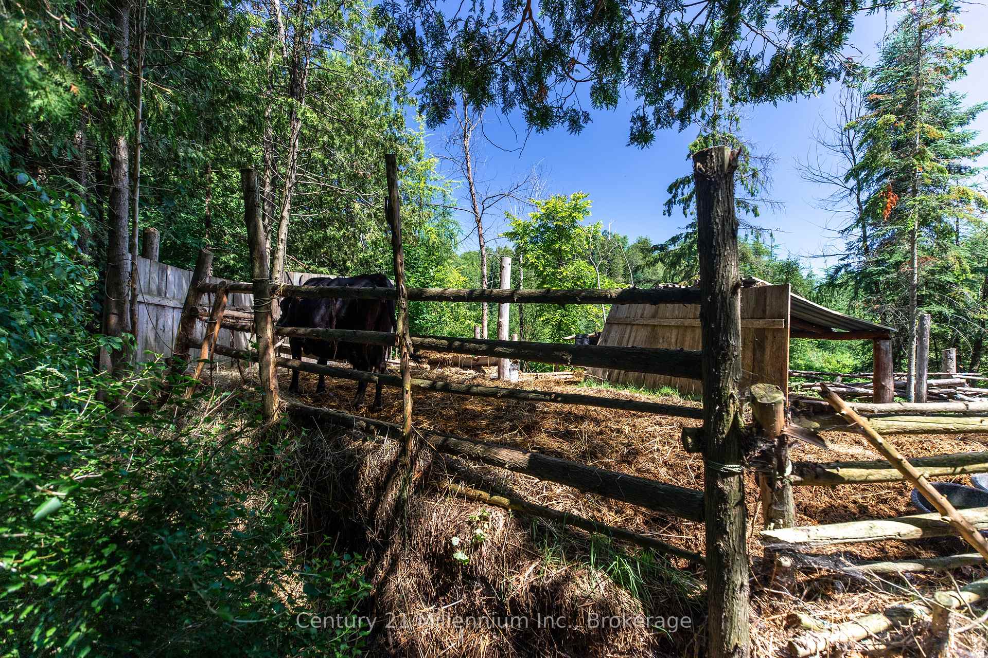 Photo 14 of 612608 Sideroad 61, Southgate — HOMEH