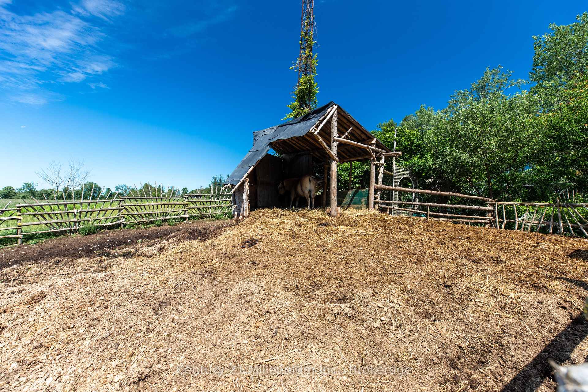 Photo 23 of 612608 Sideroad 61, Southgate — HOMEH