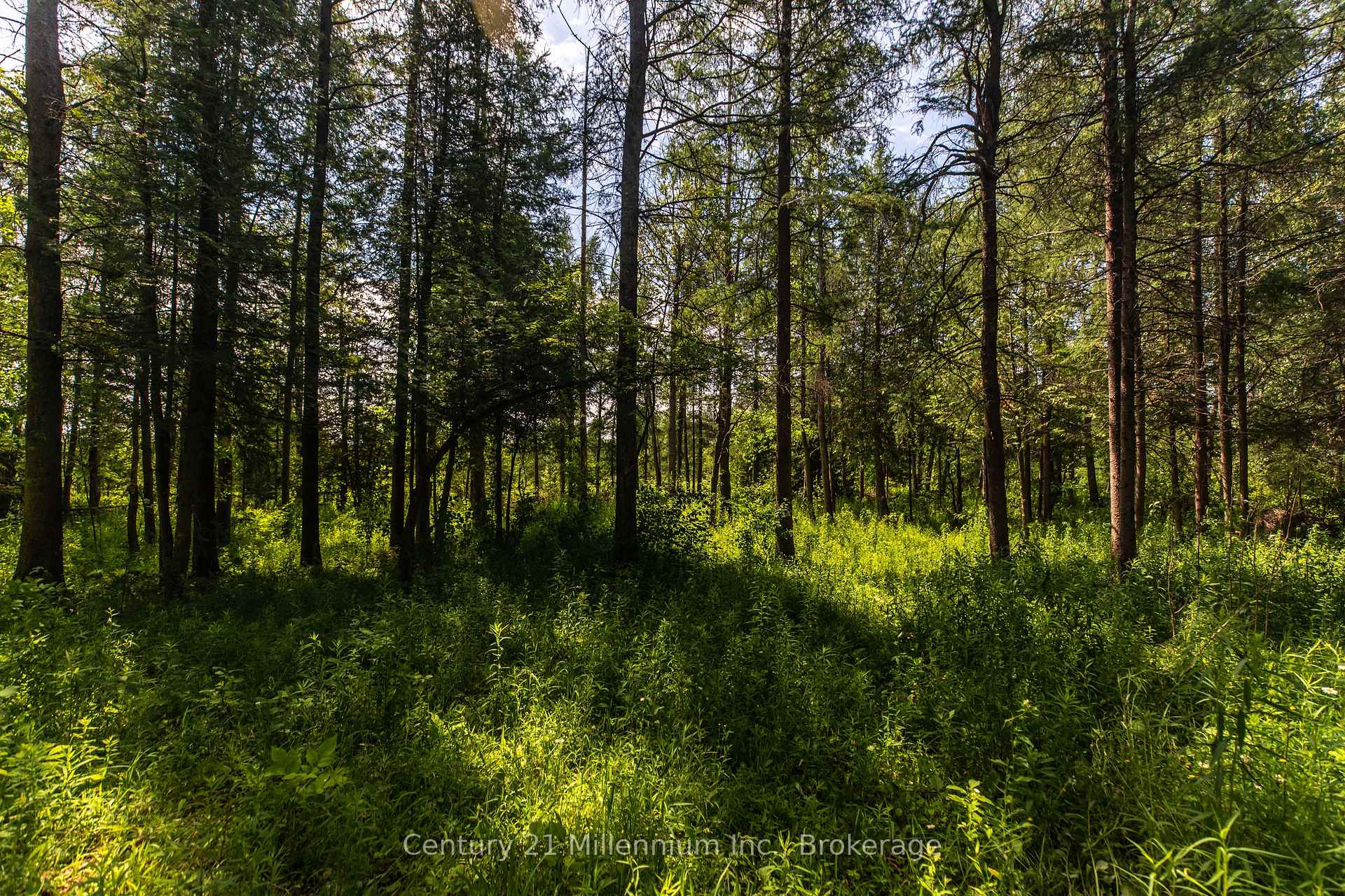 Photo 24 of 612608 Sideroad 61, Southgate — HOMEH