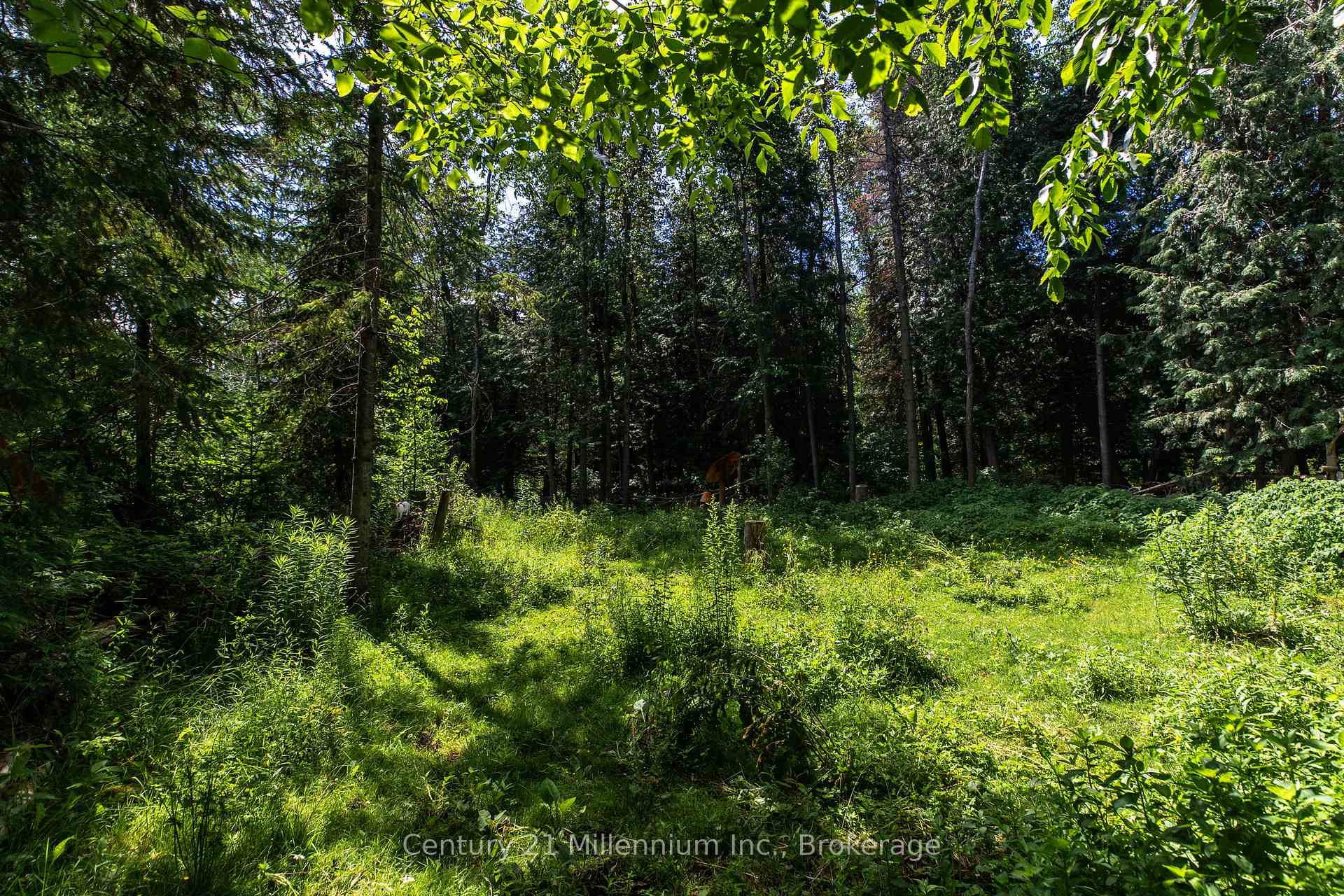 Photo 27 of 612608 Sideroad 61, Southgate — HOMEH