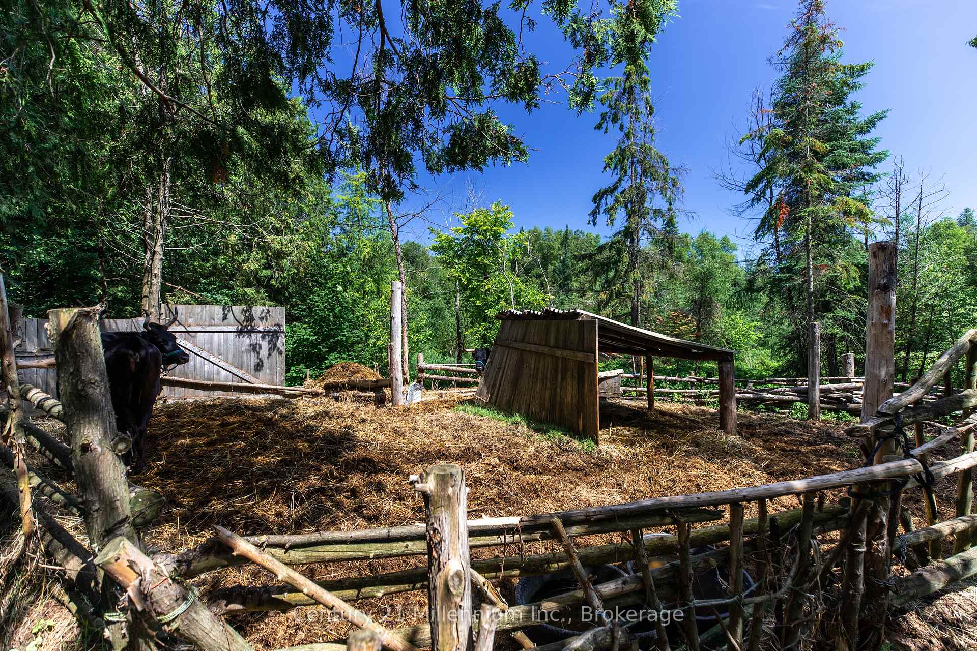 Photo 29 of 612608 Sideroad 61, Southgate — HOMEH