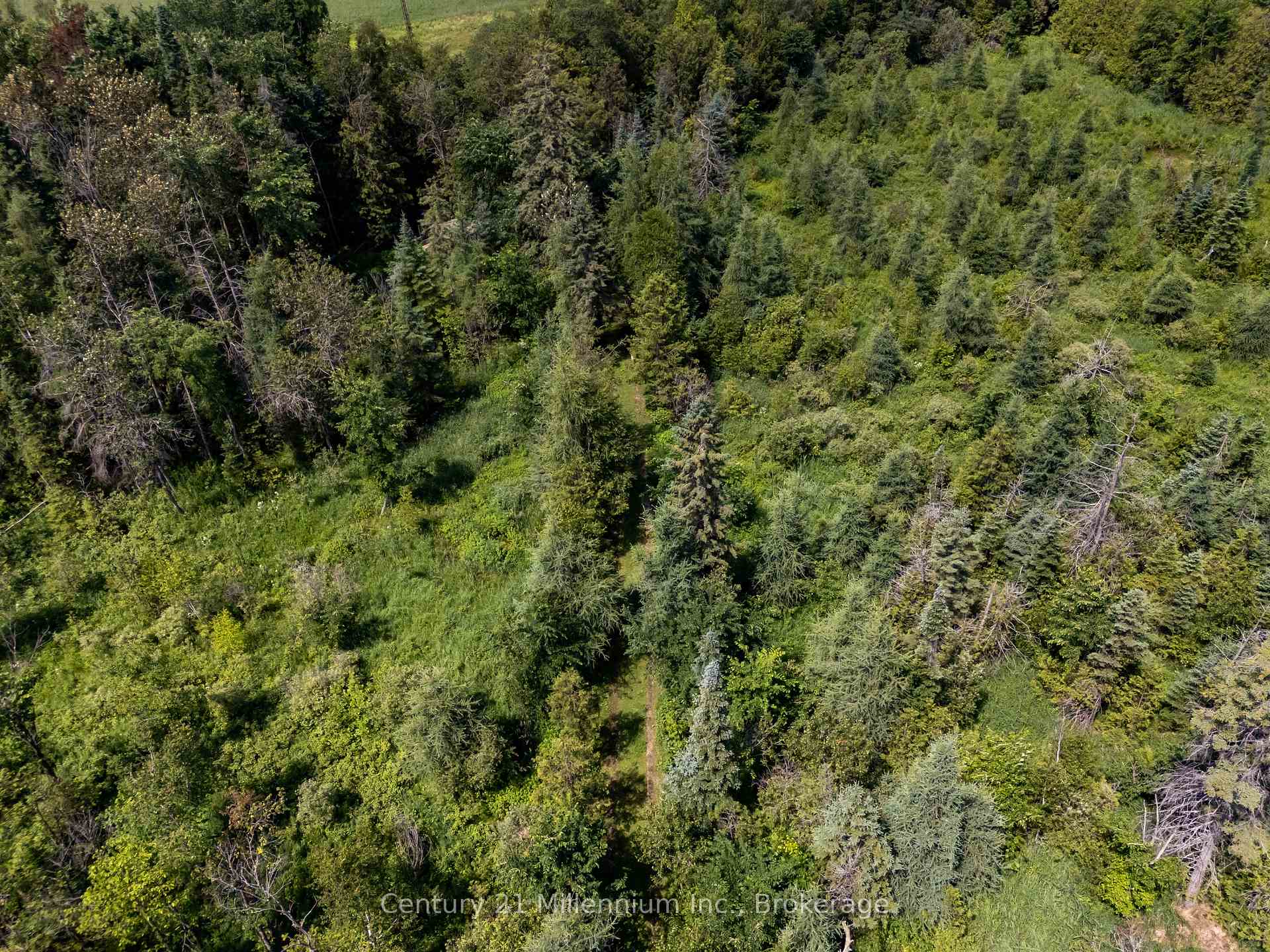 Photo 36 of 612608 Sideroad 61, Southgate — HOMEH