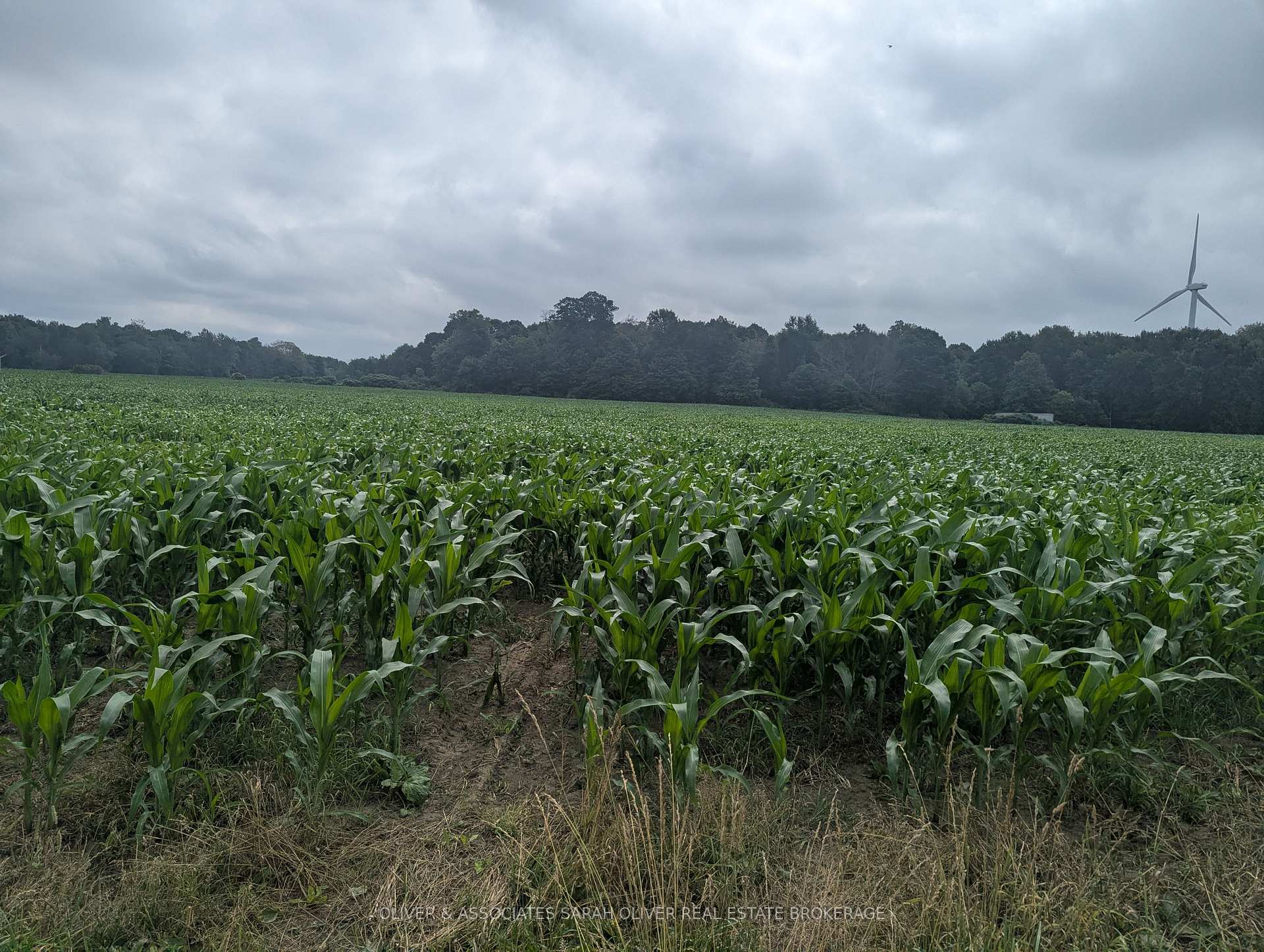 Photo of 4688 Godby Road