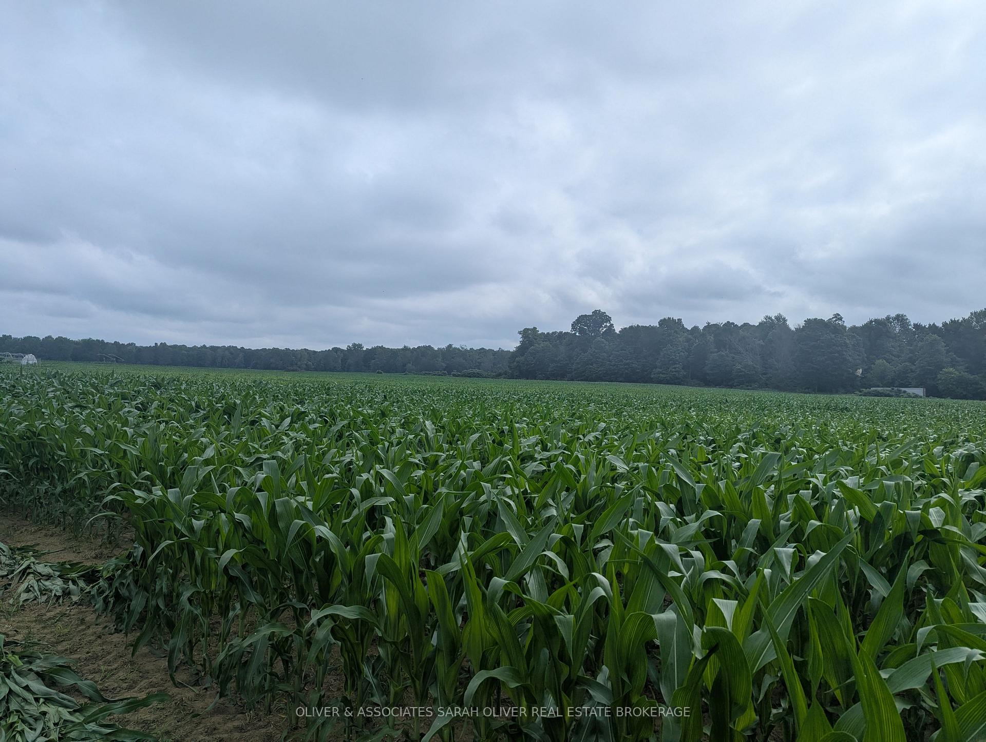 Photo 2 of 4688 Godby Road, Bayham, Rural Bayham — HOMEH