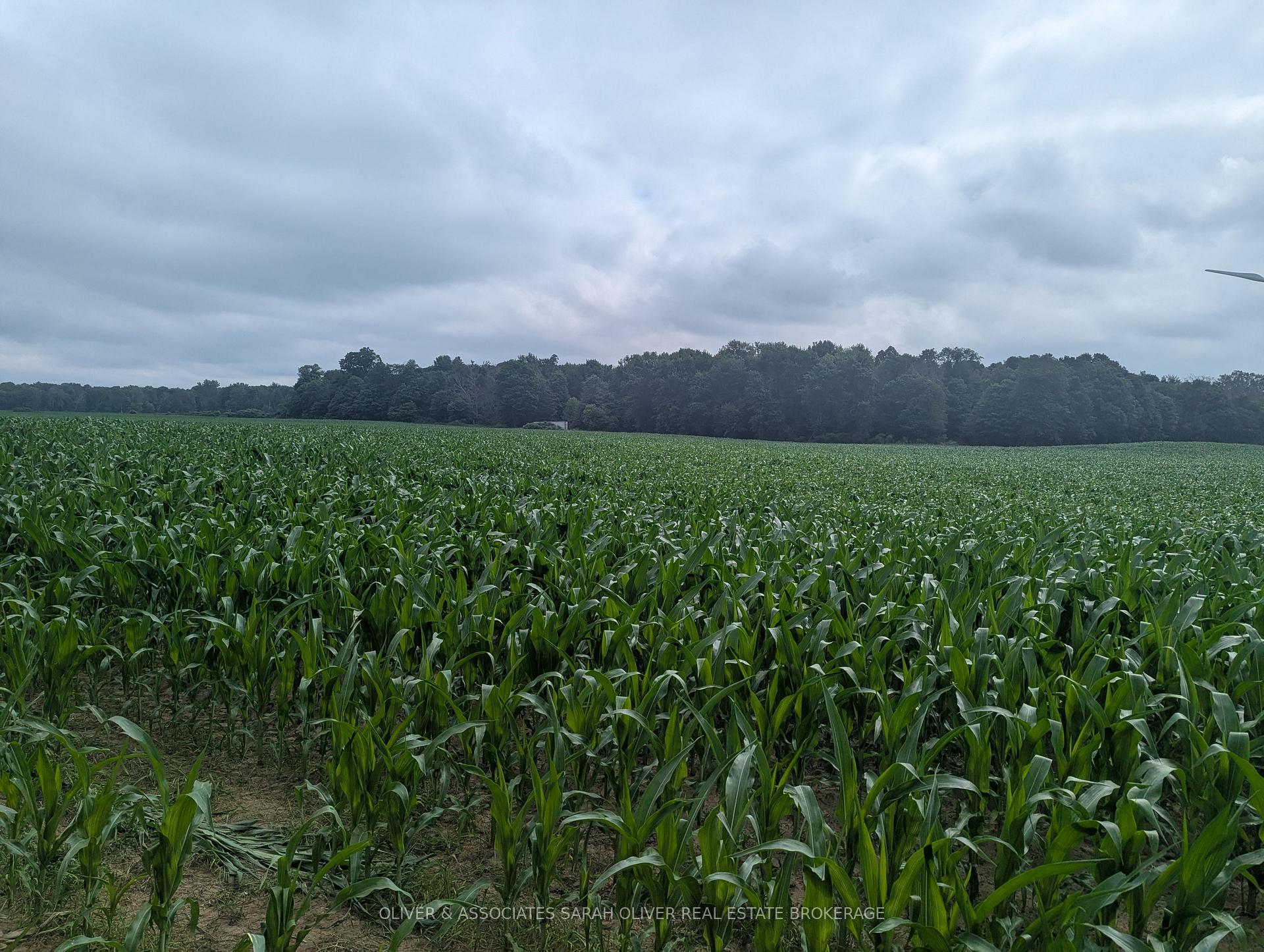 Photo 3 of 4688 Godby Road, Bayham, Rural Bayham — HOMEH