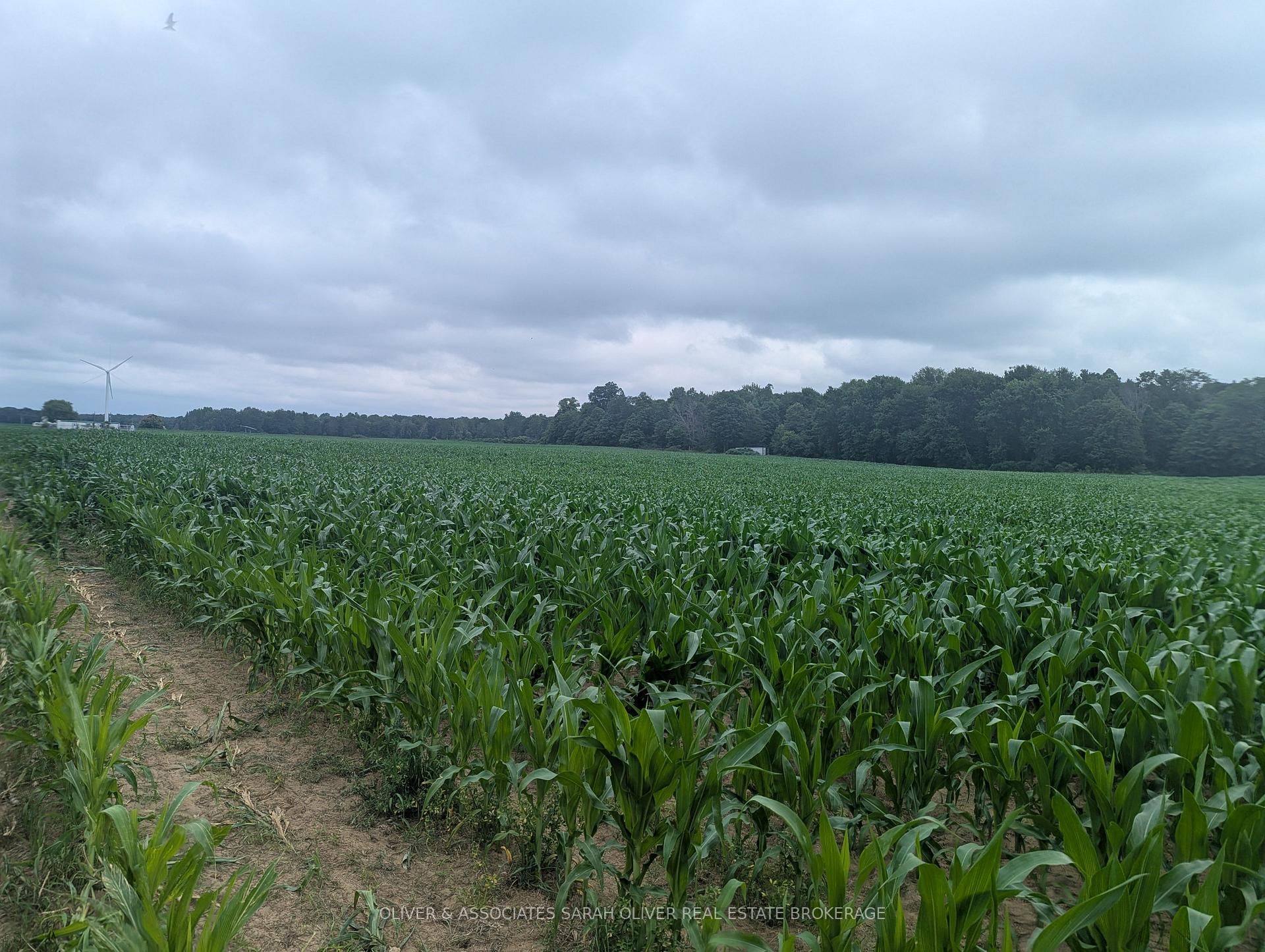 Photo 5 of 4688 Godby Road, Bayham, Rural Bayham — HOMEH