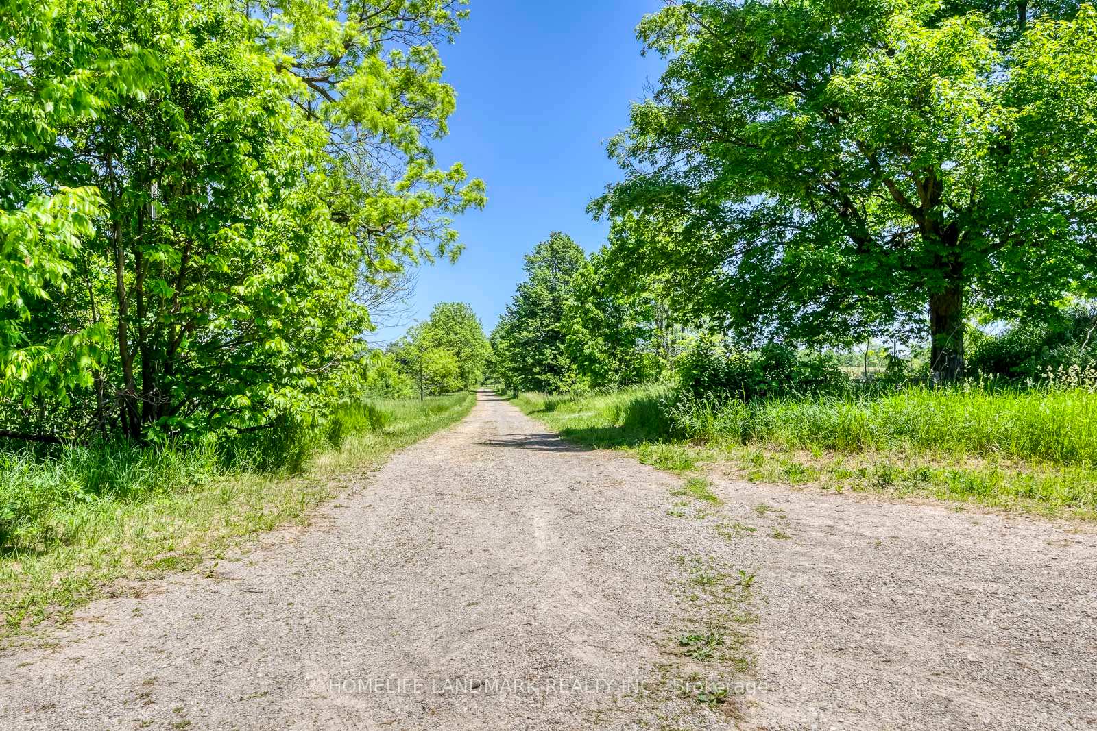 Photo 13 of 217 Carlisle Road, Hamilton, Rural Flamborough — HOMEH