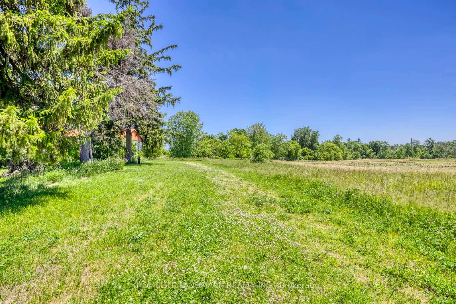 Photo 26 of 217 Carlisle Road, Hamilton, Rural Flamborough — HOMEH