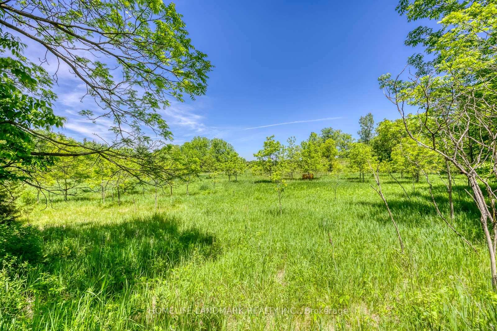 Photo 28 of 217 Carlisle Road, Hamilton, Rural Flamborough — HOMEH