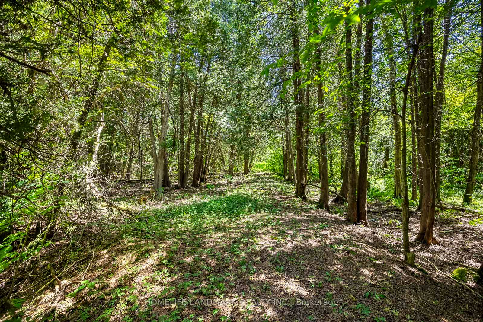 Photo 29 of 217 Carlisle Road, Hamilton, Rural Flamborough — HOMEH
