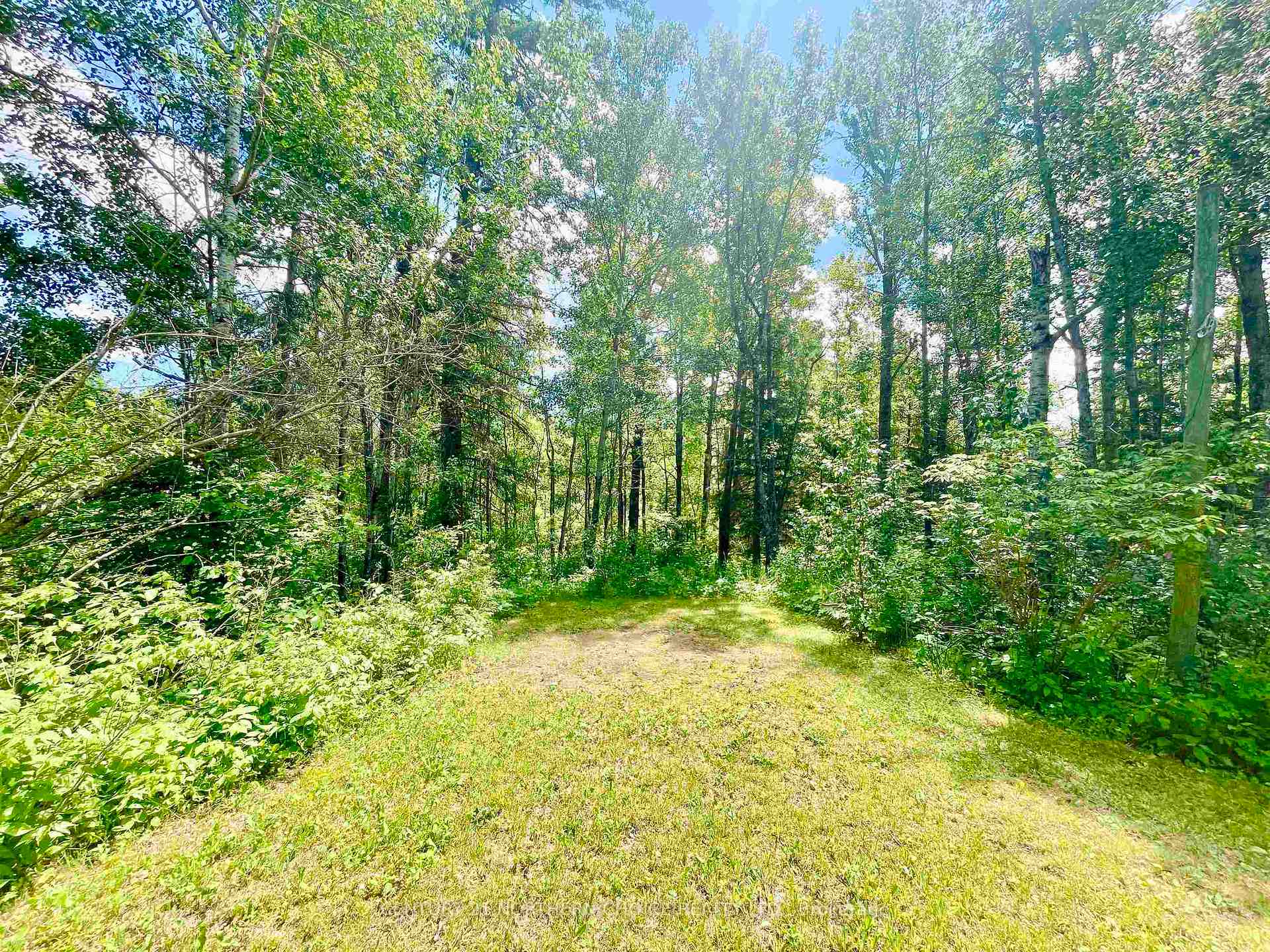 Photo 2 of 20 Falls Road, Kenora Remote Area, Dinorwic — HOMEH
