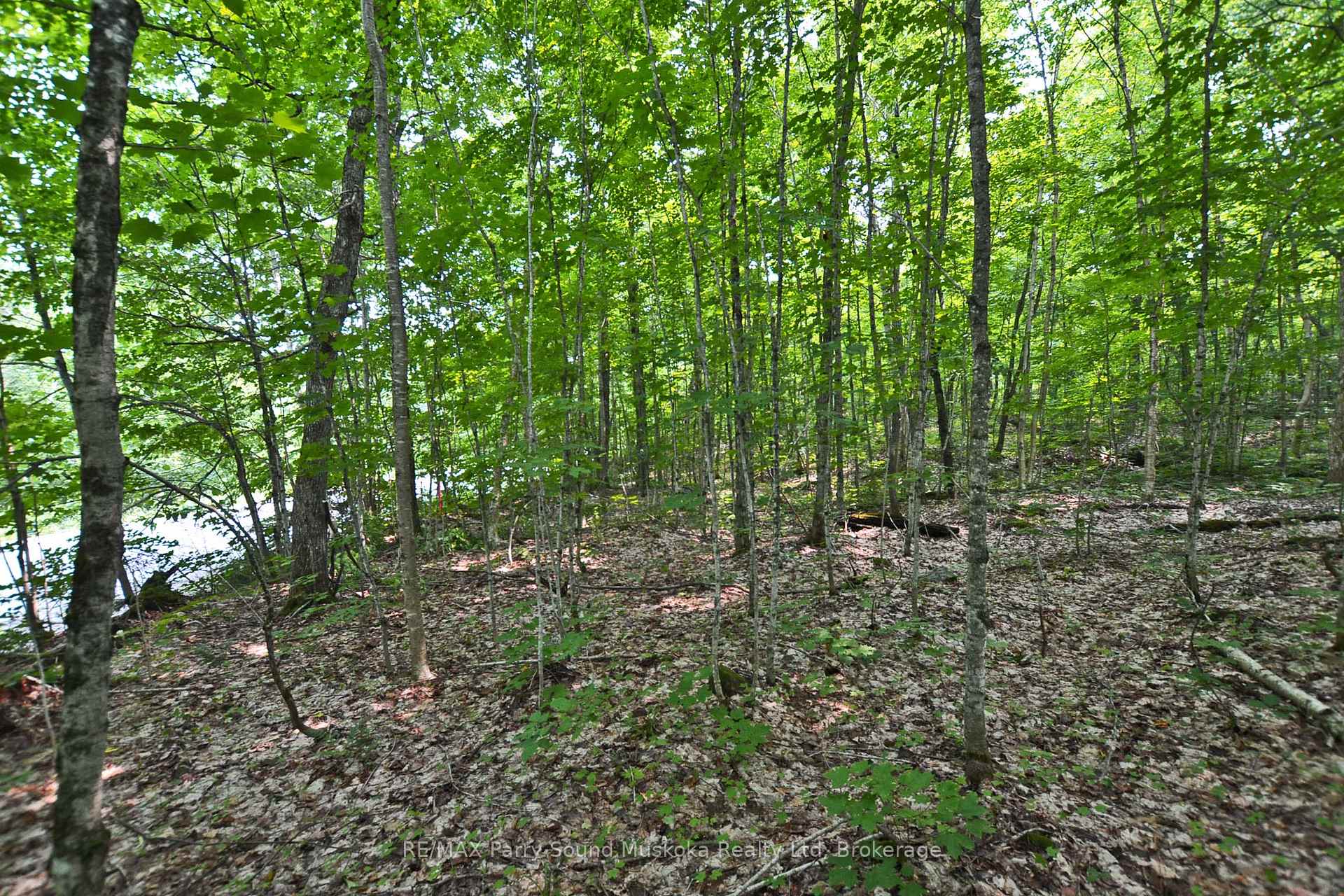 Photo of Unit Part 1, 0 Lyndsey Lane