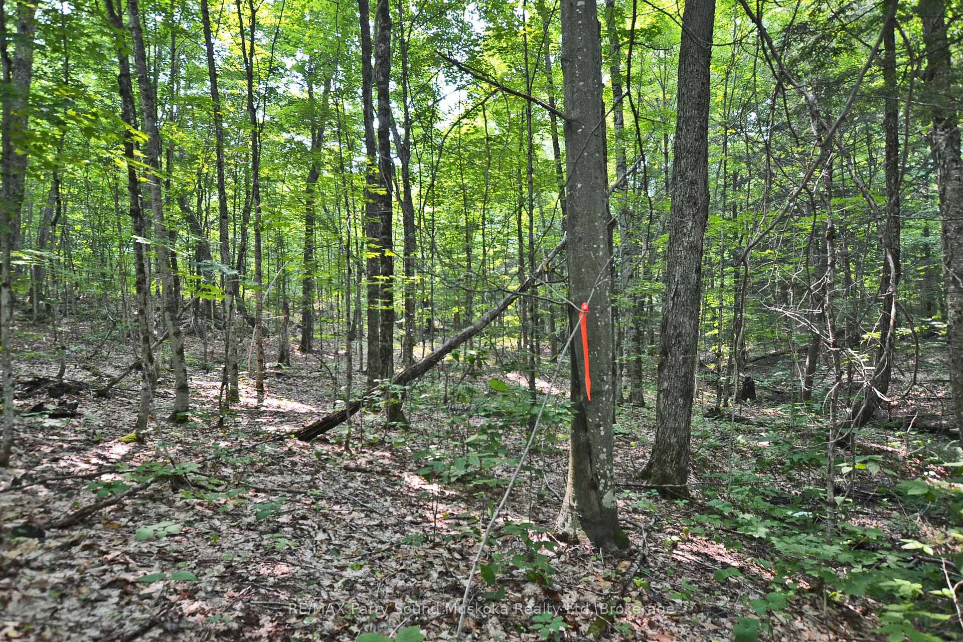 Photo 12 of Unit Part 1, Lyndsey Lane, McKellar — HOMEH
